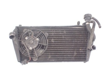 Radiator fan aprilia dorsoduro 750 07-14, фото