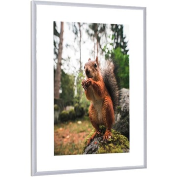 Frame on bumper silver frame aluminum 60x80, фото