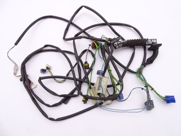 Iveco eurocargo 02 - 08 door wiring right, фото