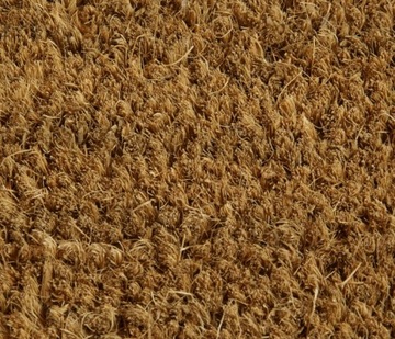 Brush mat coconut made to order з rollers 100 centimeters, фото