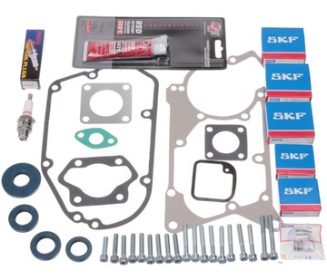 Simpson s51 sr50 bearing motor skf c3 gaskets simeringi german lyo, фото