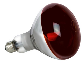 Лампа для обігріву KWOKA E27 375w