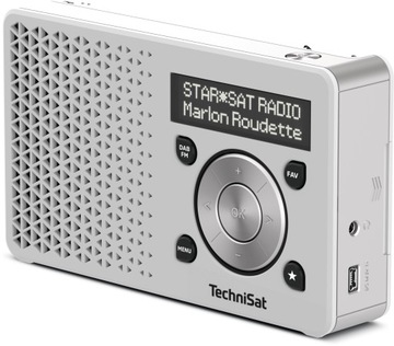 РАДИО DAB+/FM TECHNISAT DIGITRADIO 1 Серебристый и белый