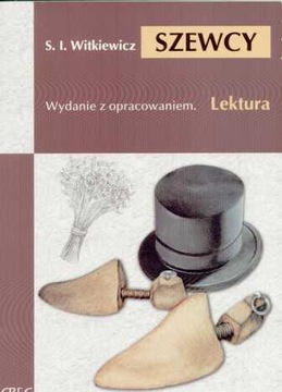 Сапожники с разработкой. С. И. Виткевич