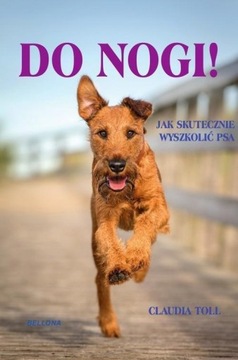 Do nogi! Claudia Toll NOWA