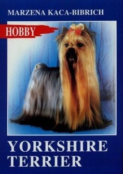 Yorkshire terrier