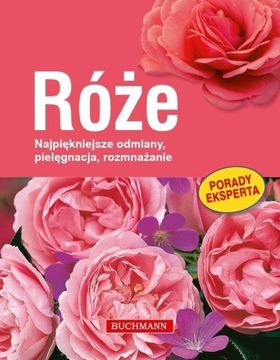 Róże Gabriele Richter