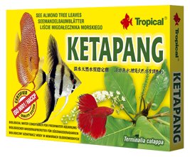 Tropical KETAPANG Liście migdałecznika CZARNA WODA