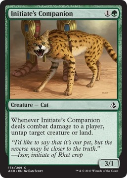 MTG 4x Initiate's Companion