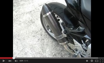 Глушитель #EXAN X-B Ovale CARBON для Yamaha FZ8