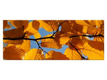 Obraz Powiew jesieni - Pawel Pacholec 100x40