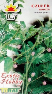 EXOTIC Czułek, Mimoza nasiona 0,2g LIŚCIE CZUŁE NA DOTYK