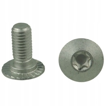 Śruba Torx M10x23 10,9 Trioliet 84925