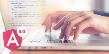 Курс Angular 4 и 14-часовой сборник AngularJS — DVD