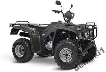 картер ATV250 QUAD BS250S-5 JIANSHE ROMET PUMA