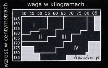 GATTA 40 DEN MIKROFIBRA WYSOKA JAKOŚC KOLORY '3'