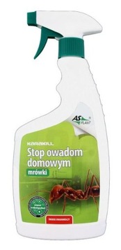 ATOMIZER stop owadom na MRÓWKI trucizna ASPLANT
