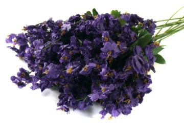 Гипсофила ИСКУССТВЕННЫЕ ЦВЕТЫ дк.фиолетовый