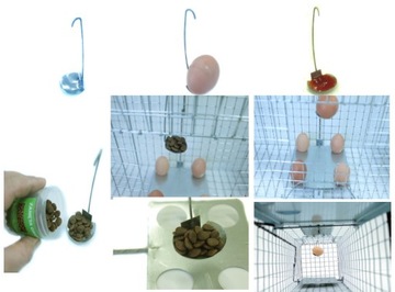 ЛОВУШКА ДЛЯ МУЖЧИН ДЛЯ КОШЕК ЖИВЫЕ ЛОВУШКИ 82x17x20+БЕСПЛАТНО