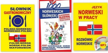 NORWESKI W PRACY norweskie słownictwo +CD SŁÓWKA