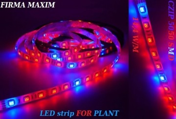 ZESTAW Taśma LED GROW do wzrostu roślin 1 m IP65