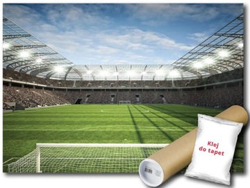 FOTOTAPETA WINYLOWA PIŁKA STADION BOISKO 254x184