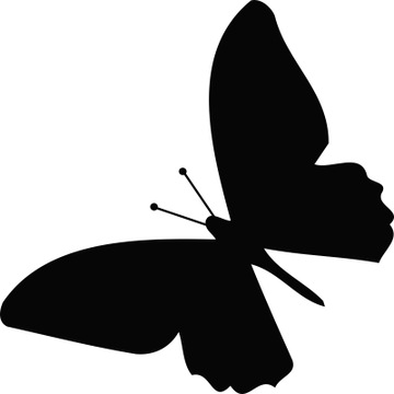 Naklejka dekoracyjna na ścianę ścienna MOTYL do salonu dla dziecka 30 cm