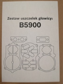 Zestaw uszczelek głowicy pompy B5900 tłok 55 105