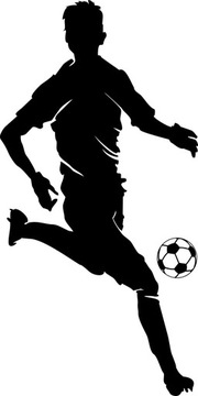 Naklejki na ścianę meble dla dzieci ścienne PIŁKA NOŻNA sport 50 cm