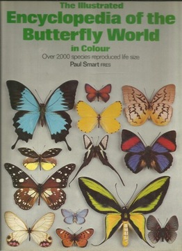 THE ILLUSTRATED ENCYCLOPEDIA OF THE BUTTERFLY WORL