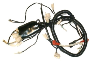 Bashan 200 250,ATV,QUAD Loncin Eagle Lyda - Instalacja Elektryczna