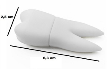 PENDRIVE USB 8 GB BIAŁY ZĄB DENTYSTA STOMATOLOG