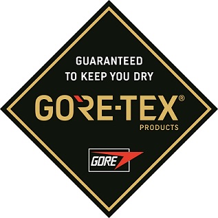 LLOYD _ полуботинки, черная кожа и мембрана GORE-TEX.