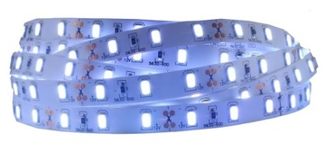 Taśma LED 5630 300LED SMD IP20 12V biała zimna 1m