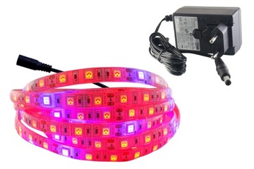 ZESTAW taśma LED 300 GROW IP65 wzrostu roślin 0.5m