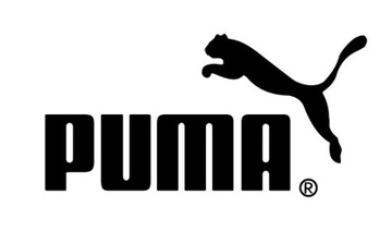 Женские кроссовки PUMA WHIRLWIND MESH 37.5