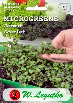 MICROGREEN Jarmuż Scarlet czerwony, kędzierzawy 3g