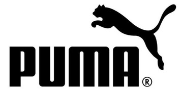 Мужские шорты PUMA Interlock LARGE - талия 160 см