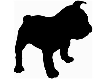 Naklejka dekoracyjna na ścianę PIES piesek dla dzieci Buldog 50 cm