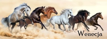 БОЛЬШАЯ СУМКА С КЛАПАНОМ А4 HORSES 50, ВОДОНЕПРОНИЦАЕМАЯ ВМЕСТИМОСТЬ