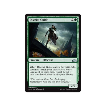 MTG 4x District Guide (Uncommon)