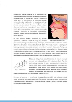 MARCELO BRACI 50ml PHEROMONES - ДУХИ С ФЕРОМОНАМИ