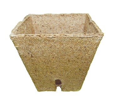 JIFFY TORFOWE DONICZKI KWADRATOWE 8x8 POJED. 50SZT