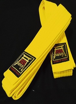Ремни для буши каратэ тхэквондо дзюдо желтые 200 см