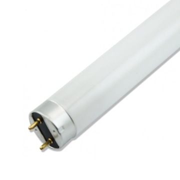 Świetlówka Osram L 30W / 840 2400lm G13 4000K