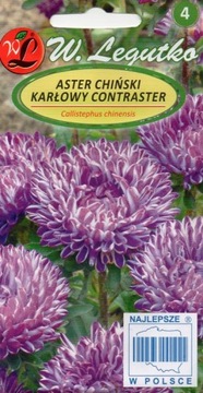 ASTER KARŁOWY CONTRASTER NIEBIESKI NOWOŚĆ 'L