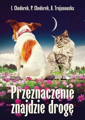 PRZEZNACZENIE ZNAJDZIE DROGĘ, CHODOREK, TROJANOWSKA, NOWA