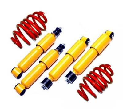 VW TRANSPORTER T4 SUSPENSION SPORTS TYPE -30MM TA - milautoparts-fr.ukrlive.com