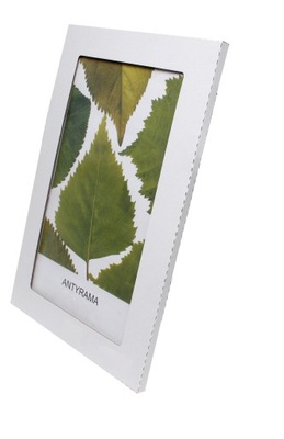 Antyrama plexi 25x38; 38x25 cm z kartką antyramy