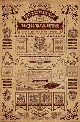 Harry Potter Quidditch - plakat filmowy 61x91,5 cm